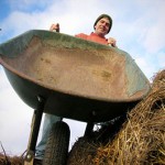 Happy Dirt Veggie Patch (Wheelbarrow)