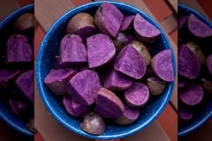 Dirondack Blue Potatoes