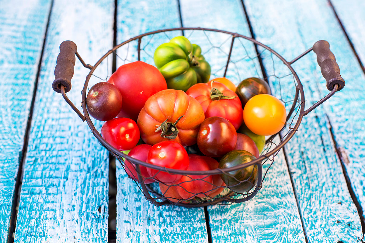 Heirloom Tomatoes