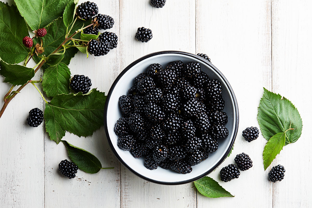 Marionberries