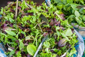 Wandering Roots Salad Mix