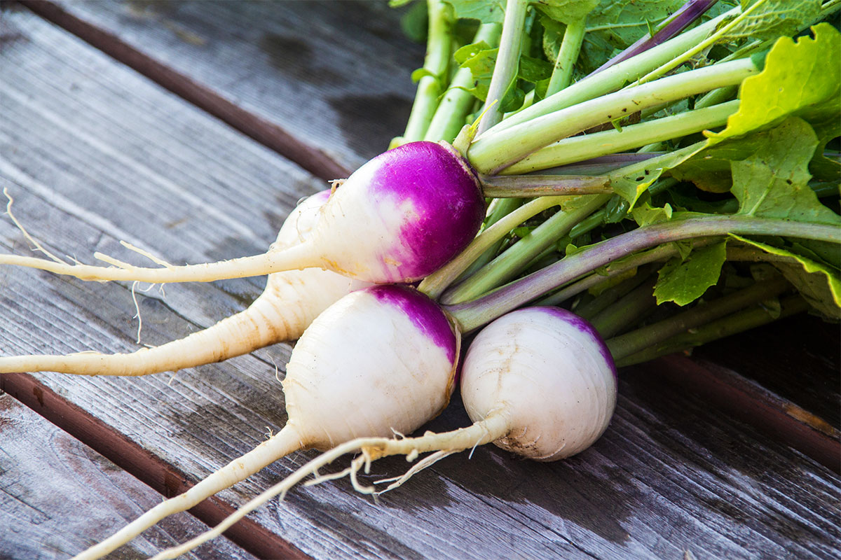 Turnips (with Tops)
