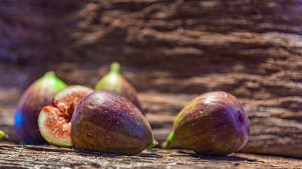 Brown Turkey Figs
