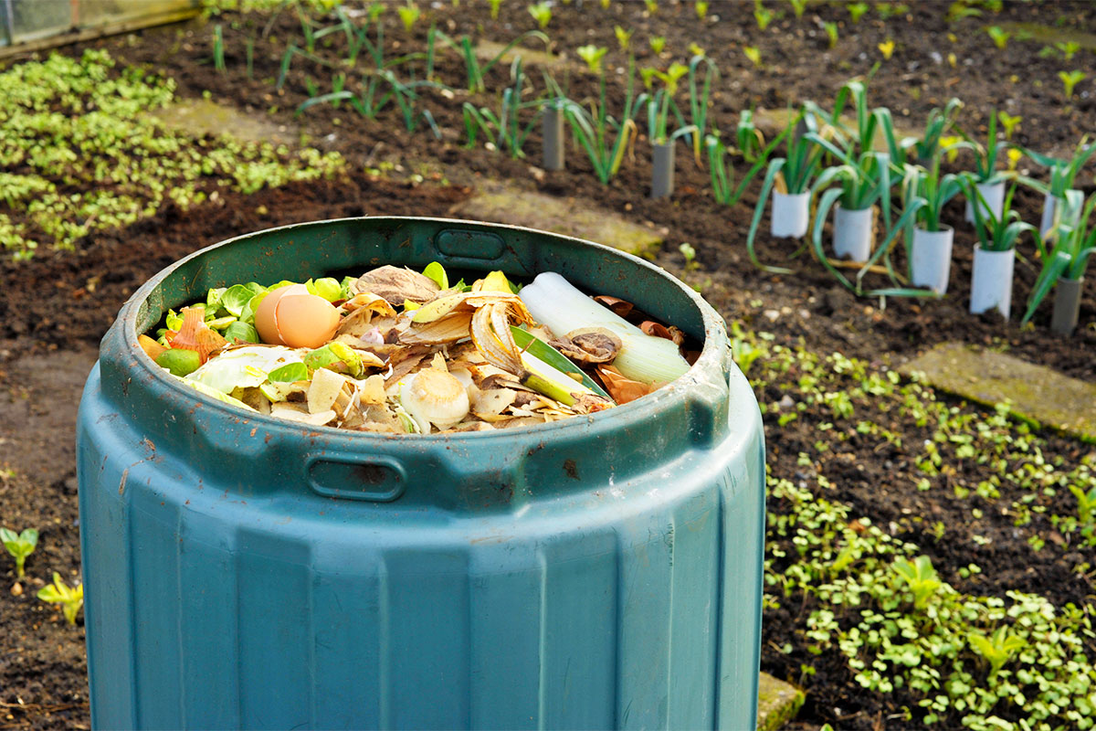 Compost Bin in Garden