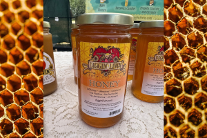 Diggin' Livin' Wildflower Honey