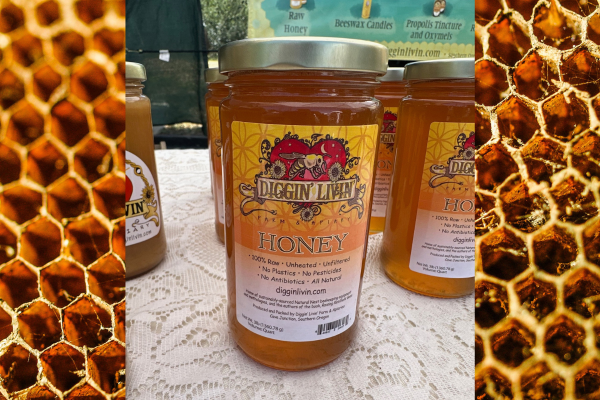 Diggin' Livin' Wildflower Honey