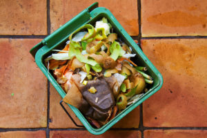 Food Compost Bin in Kitchen
