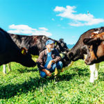 Rogue Creamery Farmer David Gremmels with Cows