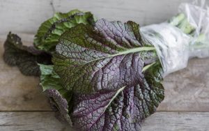 Mustard Greens