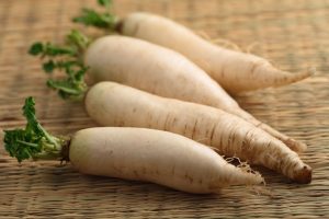 Daikon Radish