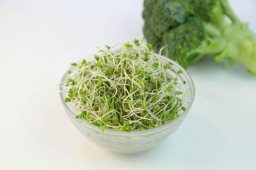 BROC SHOT, the World's First Broccoli Sprout Shot, Launches in the US 