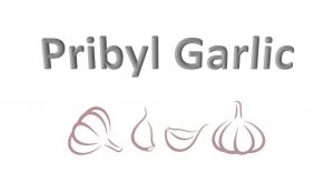 Pribyl Garlic