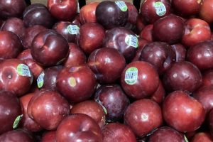 Red Haven Plums