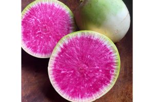 Watermelon Radishes