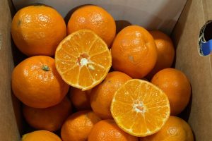 Clementine Mandarins