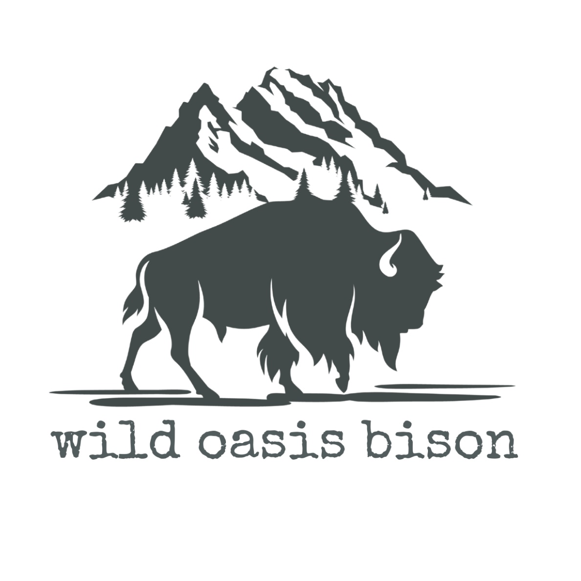 Wild Oasis Bison Ranch