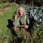 Organic kale freshly harvested by a farmer at Fox and Squirrel Farm, surrounded by lush greenery