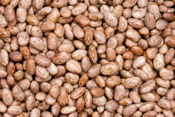 Organic Pinto Beans (Dry)