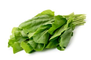 Sorrel