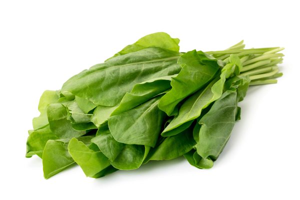 Sorrel