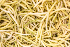 Yellow Wax Beans