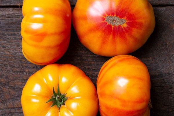 "Gin Fiz" Heirloom Tomatoes