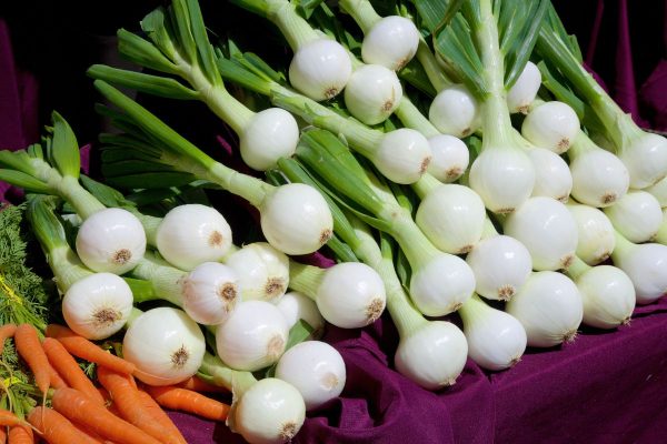 Walla Walla Fresh Onions