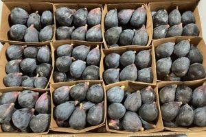 Black Mission Figs