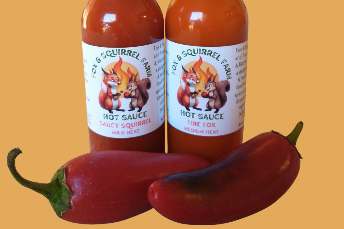 Saucy Squirrel