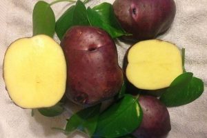 Huckleberry Gold Potatoes
