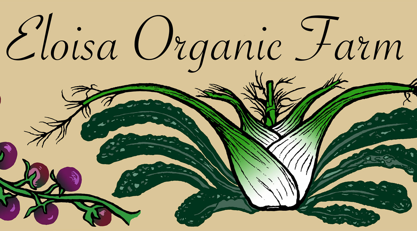 Eloisa Organic Farm