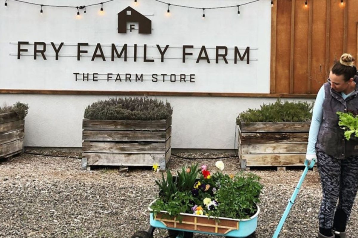 Fry Family Farm (Medford)