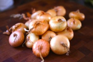 Yellow Cipollini Onions